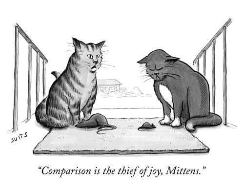 "Comparison is the thief of joy, Mittens."