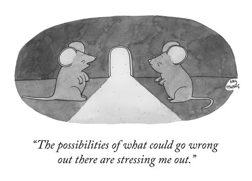 "The possibilities of what could go wrong out there are stressing me out."