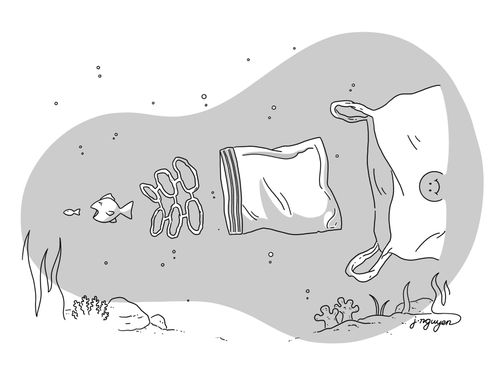A polluted food chain