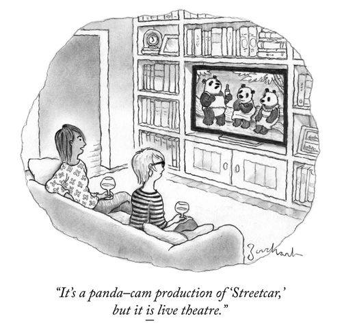 "It's a panda-cam production of 'Streetcar,' but it is live theatre."