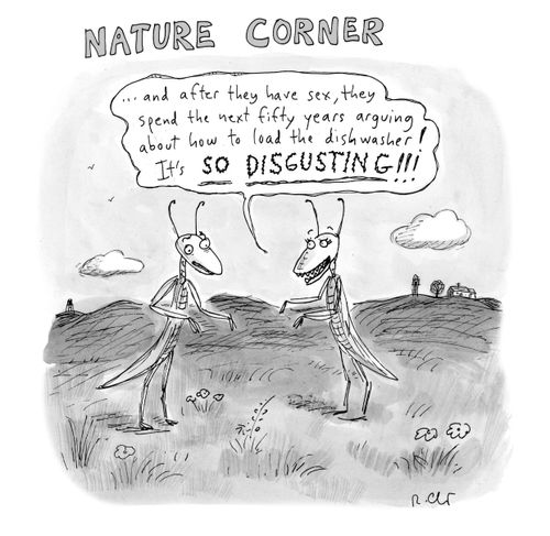 Nature corner