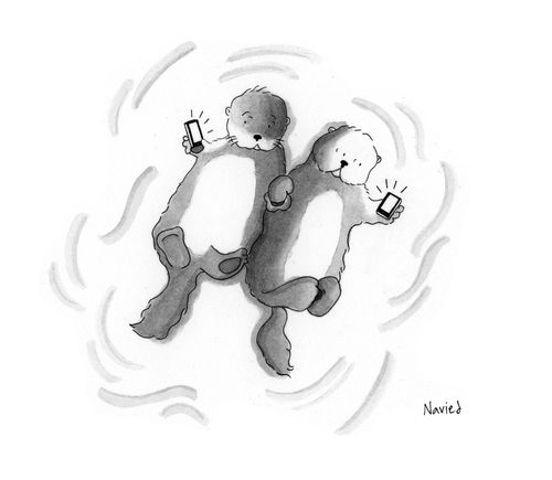 Two sea otters with smartphones
