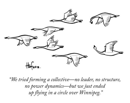 "We tried forming a collective - no leader, no structure, no power dynamics - but we just ended up flying in a circle over Winnipeg."