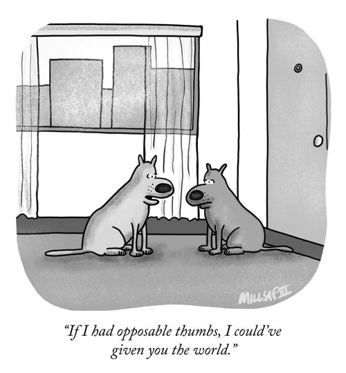 "If I had opposable thumbs, I could've given you the world." 