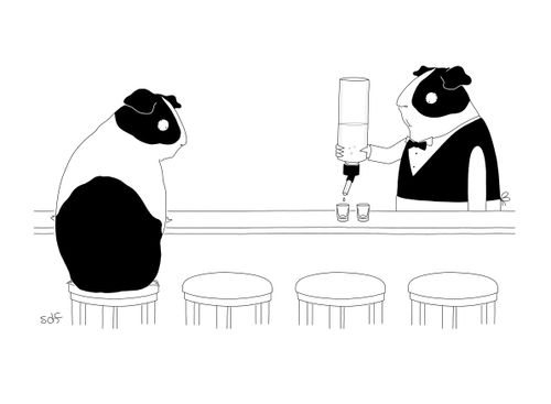 Hamster bartender