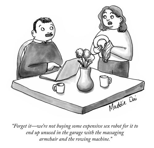 "Forget it – we're not buying some expensive sex robot for it to end up unused in the garage with the massaging armchair and the rowing machine."