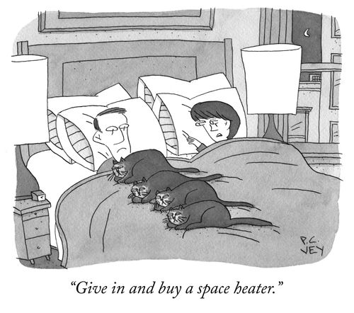 "Give in and buy a space heater."