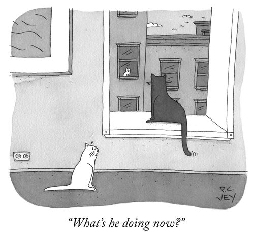 "What's he doing now?"