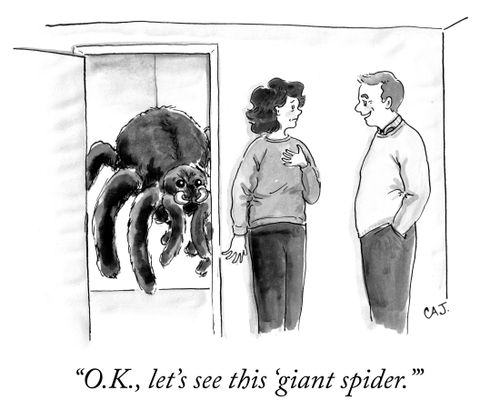 "O.K., let's see this 'giant spider.'"