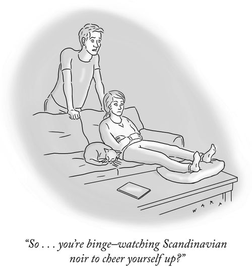 "So. . . you're binge-watching Scandinavian noir to cheer yourself up?"