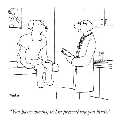 "You have worms so I'm prescribing you birds."