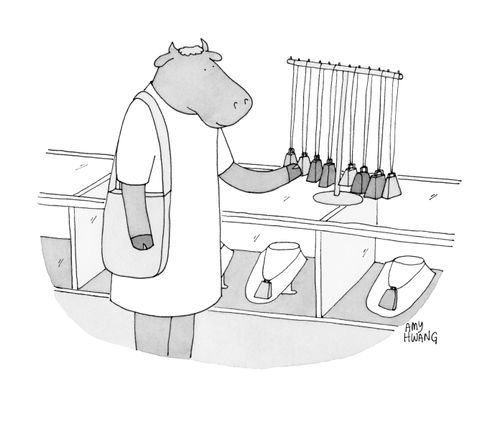 A cow shopping for a cow bell