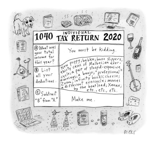 1040 Individual Tax Return 2020
