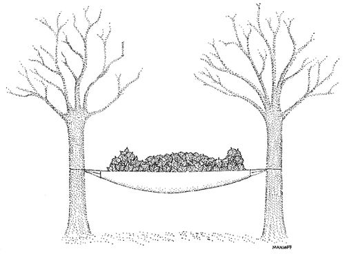 A man lies in a hammock under leaves.