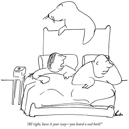 "All right, have it your way - you heard a seal bark!"