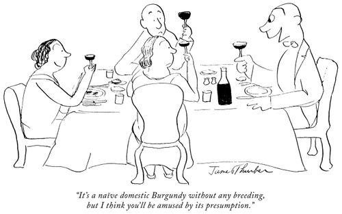 "It's a naive domestic Burgundy without any breeding, but I think you'll be amused by its presumption."