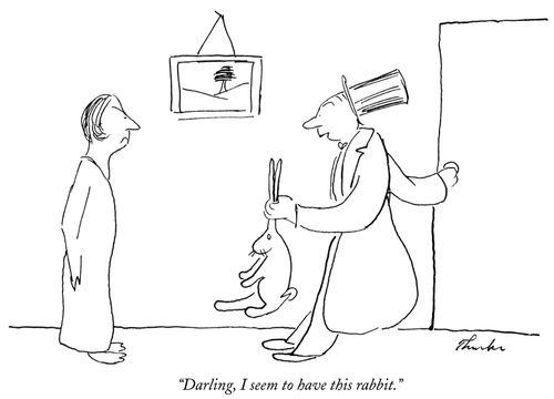 "Darling, I seem to have this rabbit."