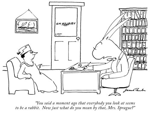 "You said a moment ago that everybody you look at seems to be a rabbit. Now just what do you mean by that, Mrs. Sprague?"