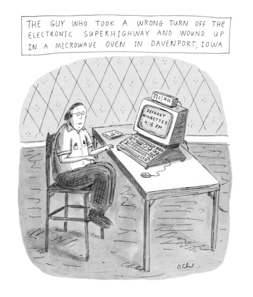 The guy who took a wrong turn off the electronic superhighway and wound up in a microwave oven in Davenport, Iowa.