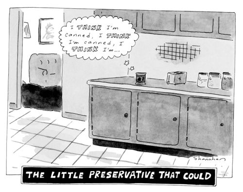 The little preservative that could