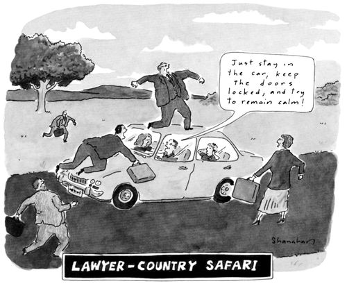 Lawyer-Country Safari