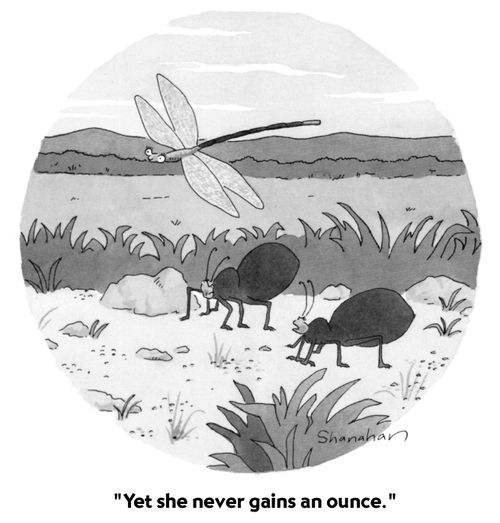 "Yet she never gains an ounce."