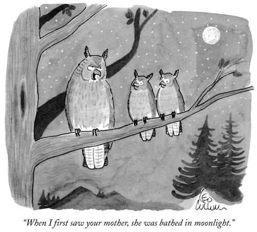 "When I first saw your mother, she was bathed in moonlight."