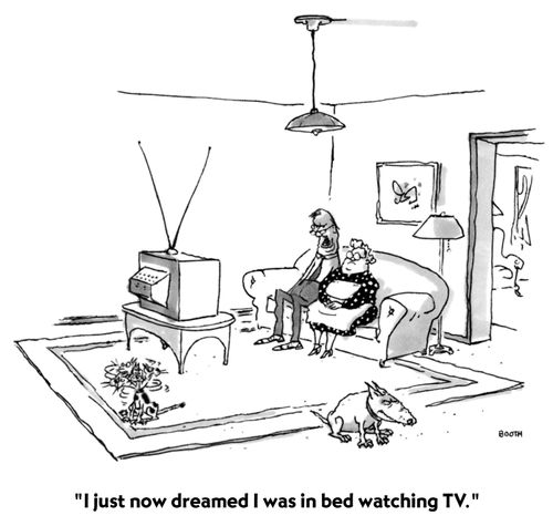 "I just now dreamed I was in bed watching TV."