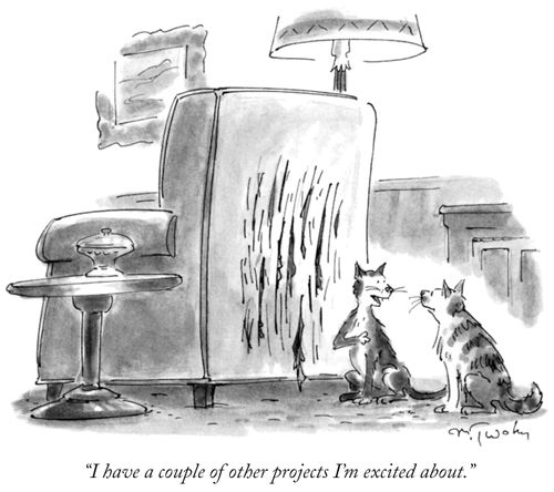 "I have a couple of other projects I'm excited about."