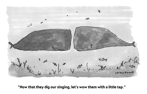 "Now that they dig our singing, let's wow them with a little tap."
