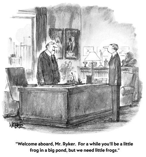 "Welcome aboard, Mr. Ryker. For a while you'll be a little frog in a big pond, but we need little frogs."