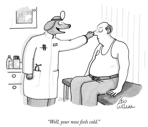 "Well, your nose feels cold."