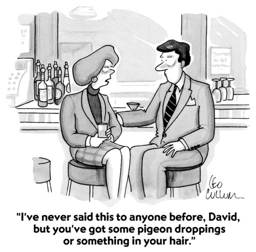 "I've never said this to anyone before, David, but you've got some pigeon droppings or something in your hair."