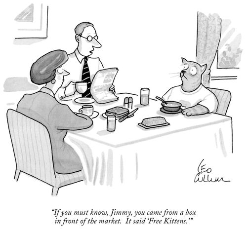 "If you must know, Jimmy, you came from a box in front of the market. It said 'Free Kittens.'"
