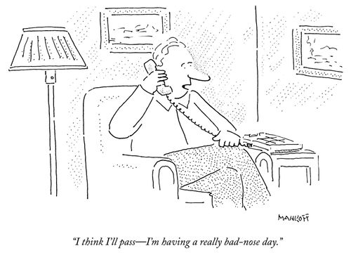 "I think I'll pass - I'm having a really bad-nose day."
