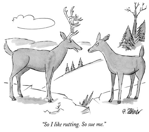 "So I like rutting. So sue me."