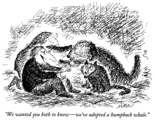 "We wanted you both to know — we've adopted a humpback whale."