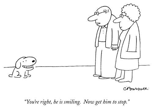 "You're right, he is smiling. Now get him to stop."