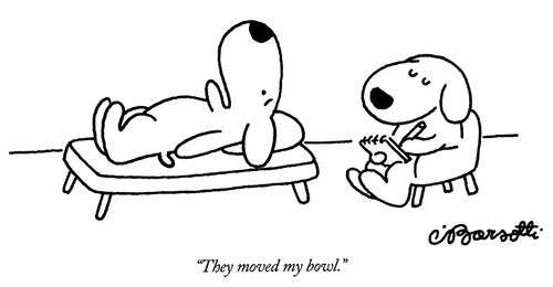 "They moved my bowl."