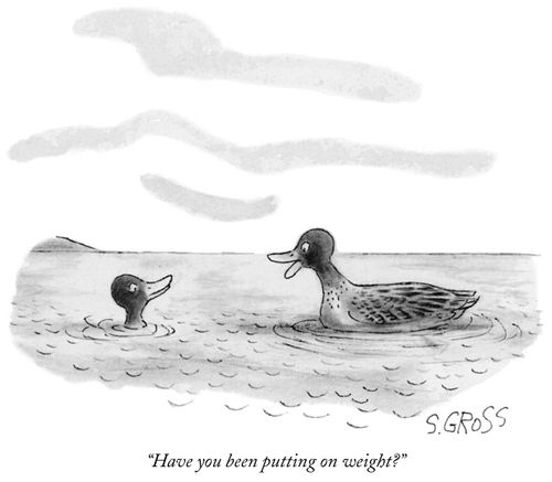 "Have you been putting on weight?"