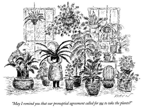"May I remind you that our prenuptial agreement called for me to take the plants?"