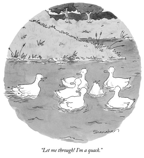 "Let me through! I'm a quack."