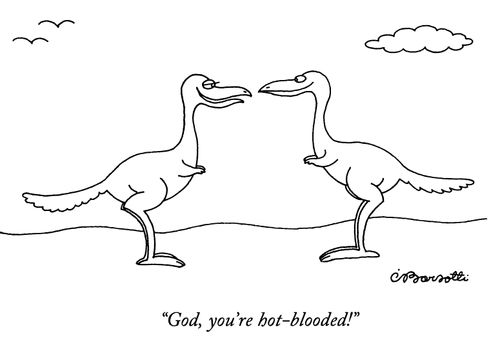 "God, you're hot-blooded!"