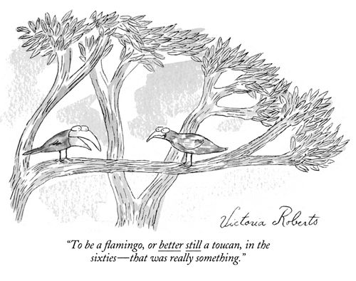"To  be a flamingo, or better still a toucan, in the sixties- that was really something."