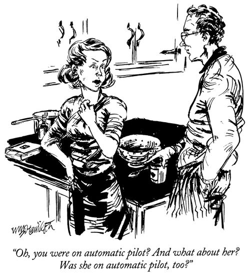 "Oh, you were on automatic pilot? And what about her? Was she on automatic pilot, too?"