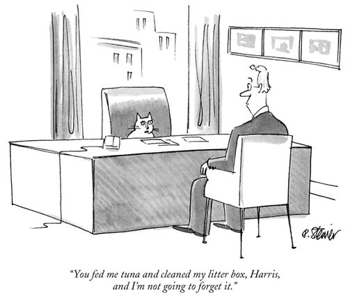 "You fed me tuna and cleaned my litter box, Harris, and I'm not going to forget it."
