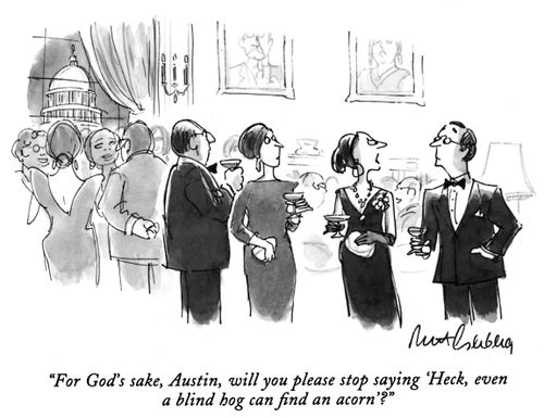 "For God's sake, Austin, will you please stop saying, 'Heck, even a blind hog can find an acorn'?"
