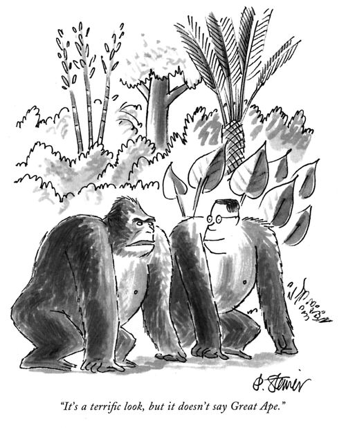 "It's a terrific look, but it doesn't say Great Ape."