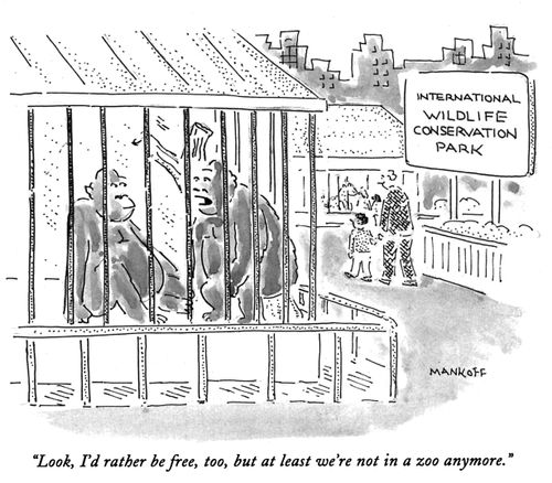 "Look, I'd rather be free, too, but at least we're not in a zoo anymore."