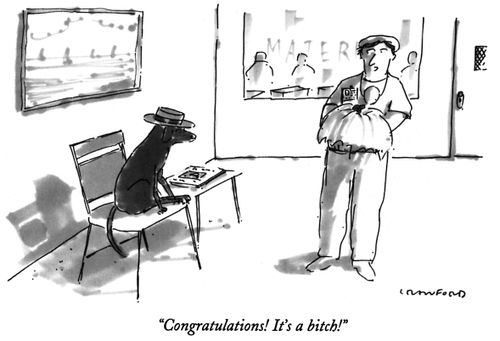 "Congratulations! It's a bitch!"